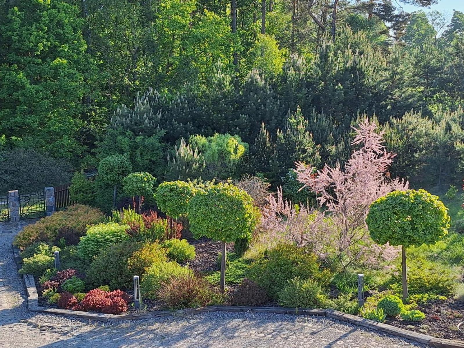 Borowy Zakatek Villa Stara Kiszewa Exterior foto